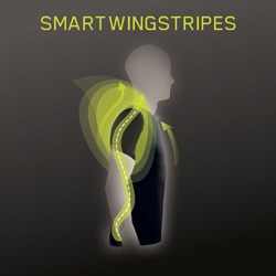 Smartwingstripes